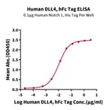 Standard Curve - Recombinant Human DLL4 Protein (C-terminal Human Fc Tag) (A330539) - Antibodies.com