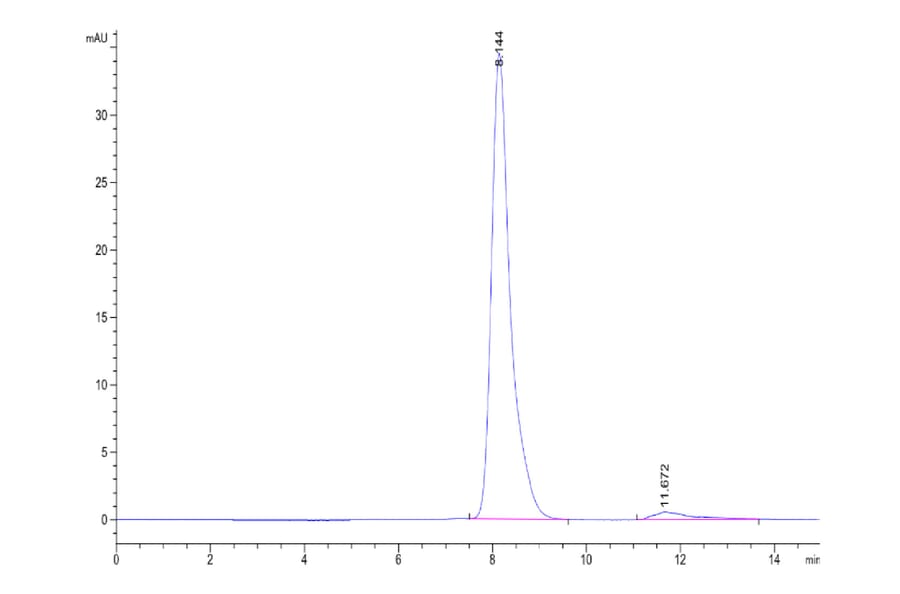 SEC-HPLC - Recombinant Human DLL4 Protein (A330541) - Antibodies.com