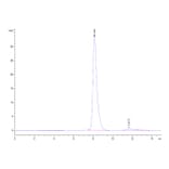SEC-HPLC - Recombinant Human DLL4 Protein (A330541) - Antibodies.com