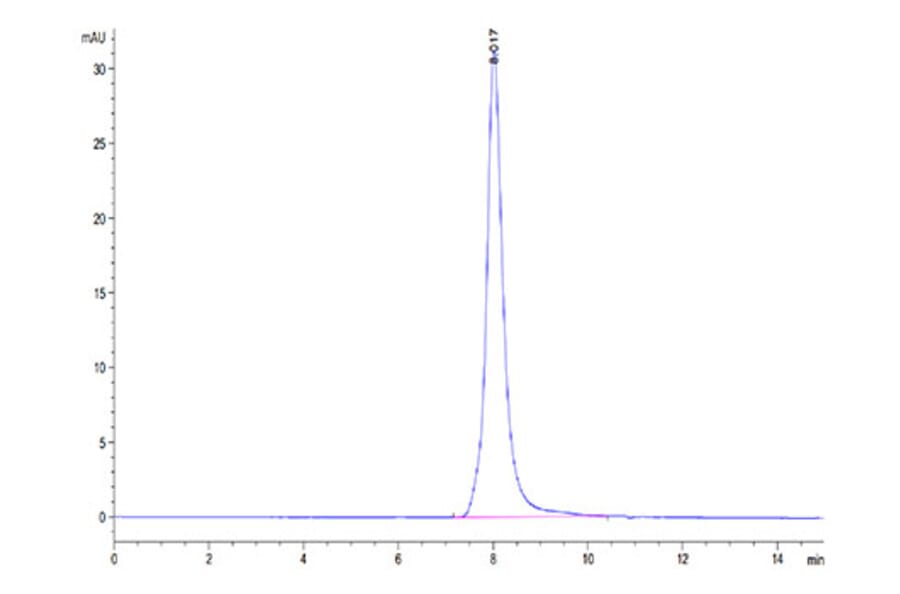 SEC-HPLC - Recombinant Human DR4 Protein (Biotin) (C-terminal His and Avi Tag) (A330546) - Antibodies.com