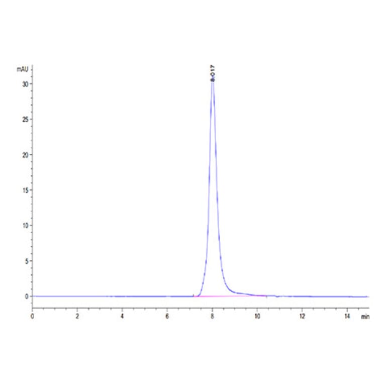 SEC-HPLC - Recombinant Human DR4 Protein (Biotin) (C-terminal His and Avi Tag) (A330546) - Antibodies.com