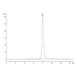 SEC-HPLC - Recombinant Human DR4 Protein (Biotin) (C-terminal His and Avi Tag) (A330546) - Antibodies.com