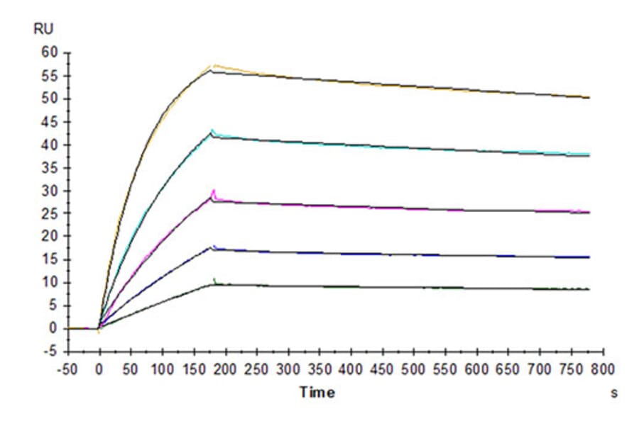 SPR Assay - Recombinant Human DR4 Protein (Biotin) (C-terminal His and Avi Tag) (A330546) - Antibodies.com