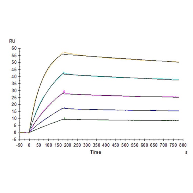 SPR Assay - Recombinant Human DR4 Protein (Biotin) (C-terminal His and Avi Tag) (A330546) - Antibodies.com