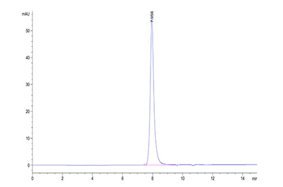 SEC-HPLC - Recombinant Human DR5 Protein (Biotin) (C-terminal His and Avi Tag) (A330548) - Antibodies.com
