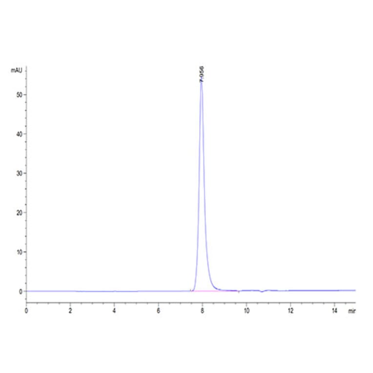 SEC-HPLC - Recombinant Human DR5 Protein (Biotin) (C-terminal His and Avi Tag) (A330548) - Antibodies.com