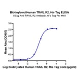 Standard Curve - Recombinant Human DR5 Protein (Biotin) (C-terminal His and Avi Tag) (A330548) - Antibodies.com