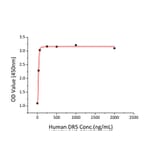 Standard Curve - Recombinant Human DR5 Protein (C-terminal His Tag) (A330549) - Antibodies.com