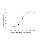 Cytotoxicity inhibition assay - Recombinant Human DR5 Protein (C-terminal His Tag) (A330549) - Antibodies.com
