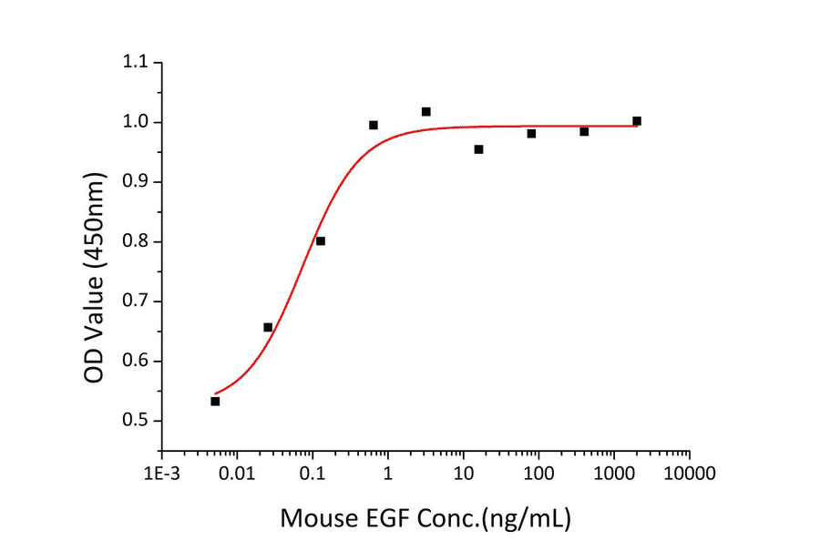 Proliferation Assay - Recombinant Mouse EGF Protein (A330554) - Antibodies.com