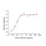 Proliferation Assay - Recombinant Mouse EGF Protein (A330554) - Antibodies.com
