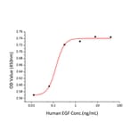 Proliferation Assay - Recombinant Human EGF Protein (C-terminal Human Fc and His Tag) (A330555) - Antibodies.com