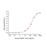 Standard Curve - Recombinant Human EGFR Protein (C-terminal Human Fc and His Tag) (A330557) - Antibodies.com