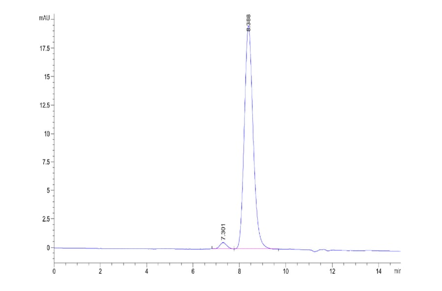 SEC-HPLC - Recombinant Human EGFR Protein (Biotin) (C-terminal His and Avi Tag) (A330558) - Antibodies.com