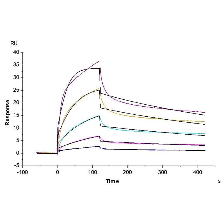 SPR Assay - Recombinant Human EGFR Protein (Biotin) (C-terminal His and Avi Tag) (A330558) - Antibodies.com