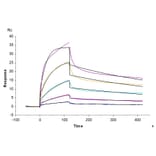 SPR Assay - Recombinant Human EGFR Protein (Biotin) (C-terminal His and Avi Tag) (A330558) - Antibodies.com