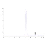 SEC-HPLC - Recombinant Human EGFR Protein (FITC) (C-terminal His and Avi Tag) (A330559) - Antibodies.com