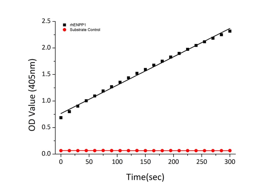 Hydrolysis Assay - Recombinant Human ENPP1 Protein (C-terminal His Tag) (A330561) - Antibodies.com