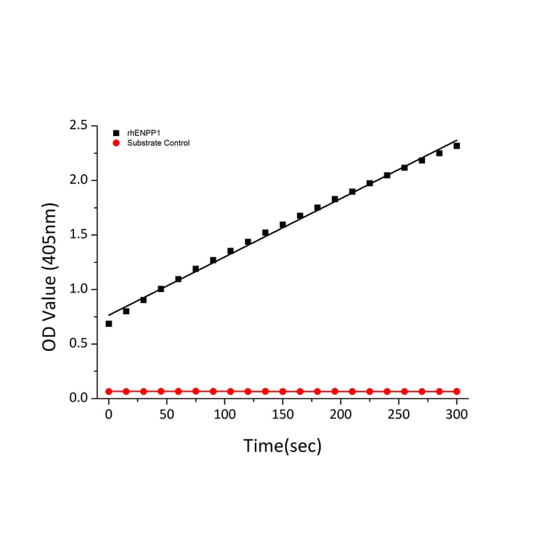 Hydrolysis Assay - Recombinant Human ENPP1 Protein (C-terminal His Tag) (A330561) - Antibodies.com