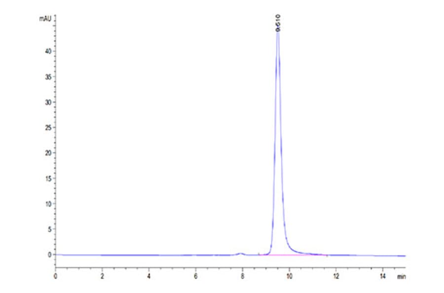 SEC-HPLC - Recombinant Human ENPP3 Protein (N-terminal His and Avi Tag) (A330563) - Antibodies.com