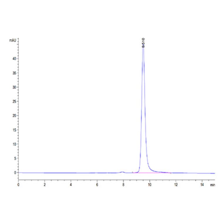 SEC-HPLC - Recombinant Human ENPP3 Protein (N-terminal His and Avi Tag) (A330563) - Antibodies.com
