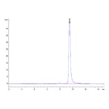 SEC-HPLC - Recombinant Human ENPP3 Protein (N-terminal His and Avi Tag) (A330563) - Antibodies.com