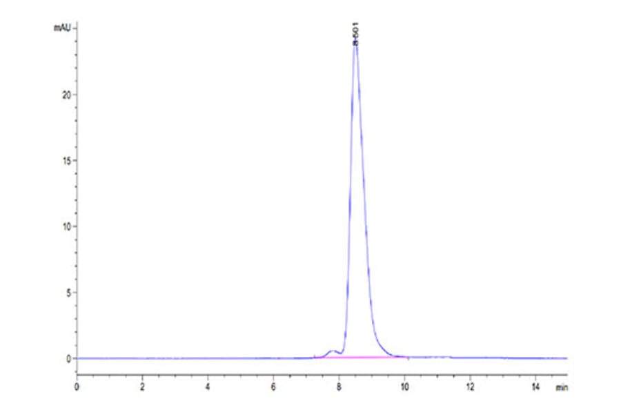 SEC-HPLC - Recombinant Human ENPP3 Protein (N-terminal His Tag) (A330564) - Antibodies.com