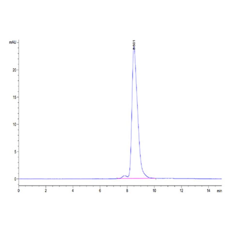 SEC-HPLC - Recombinant Human ENPP3 Protein (N-terminal His Tag) (A330564) - Antibodies.com