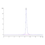 SEC-HPLC - Recombinant Human ENPP3 Protein (N-terminal His Tag) (A330564) - Antibodies.com