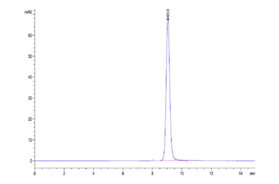 SEC-HPLC - Recombinant Human EpCAM Protein (Biotin) (C-terminal His and Avi Tag) (A330568) - Antibodies.com