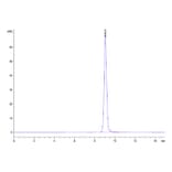SEC-HPLC - Recombinant Human EpCAM Protein (Biotin) (C-terminal His and Avi Tag) (A330568) - Antibodies.com