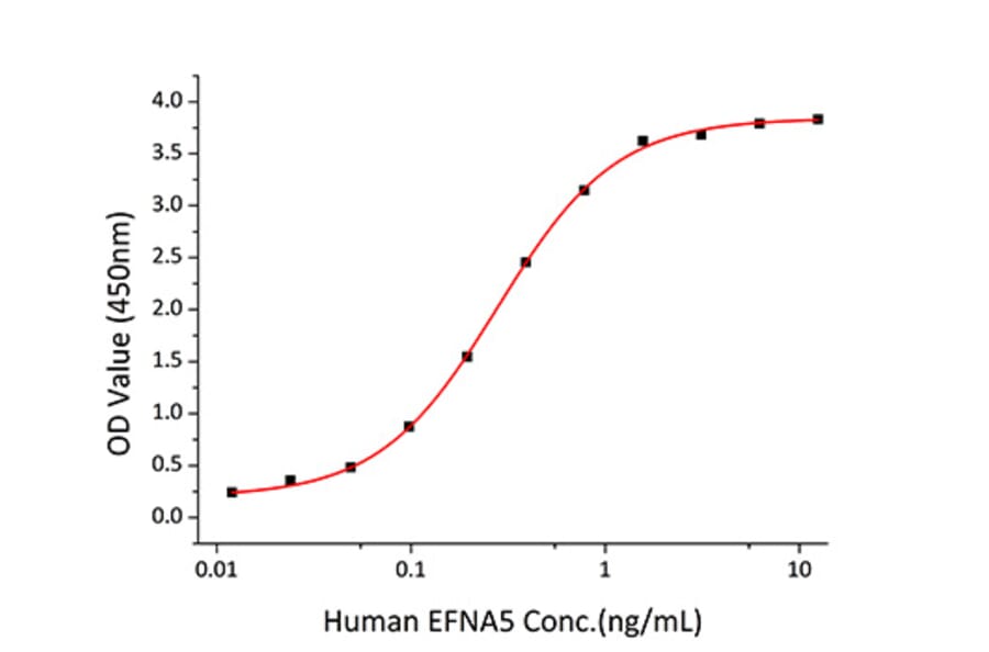 Standard Curve - Recombinant Human EPHA3 Protein (C-terminal His Tag) (A330572) - Antibodies.com
