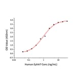 Standard Curve - Recombinant Human EPHA7 Protein (C-terminal His Tag) (A330574) - Antibodies.com