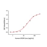 Standard Curve - Recombinant Human EPO Protein (C-terminal His Tag) (A330584) - Antibodies.com