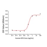 Proliferation Assay - Recombinant Human EPO Protein (A330586) - Antibodies.com