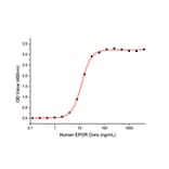 Standard Curve - Recombinant Human EPOR Protein (C-terminal Human Fc and His Tag) (A330587) - Antibodies.com