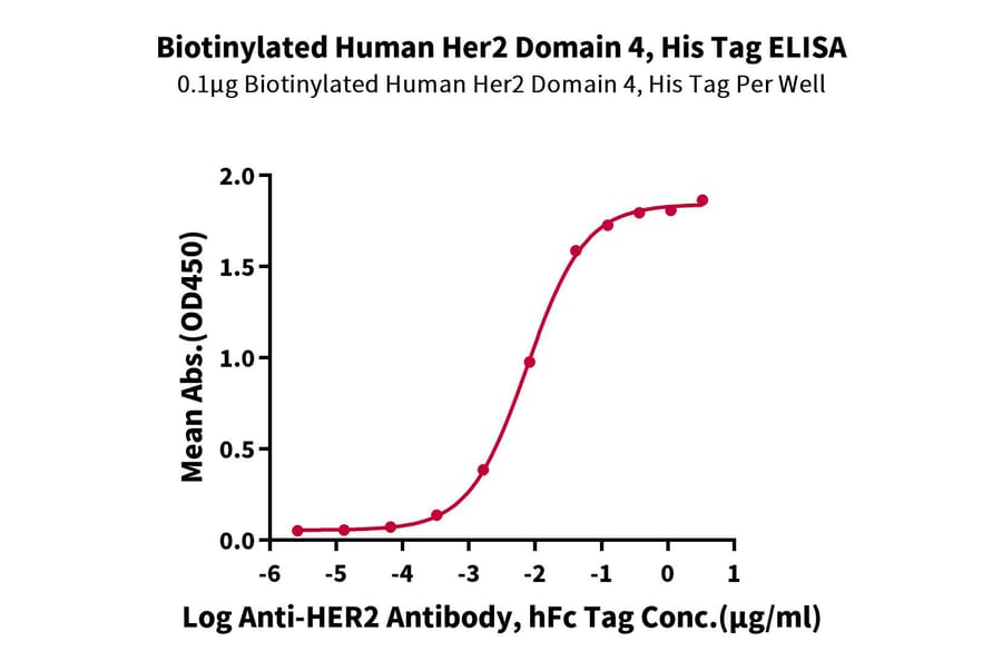 Standard Curve - Recombinant Human ErbB2 Protein (Biotin) (C-terminal His and Avi Tag) (A330589) - Antibodies.com