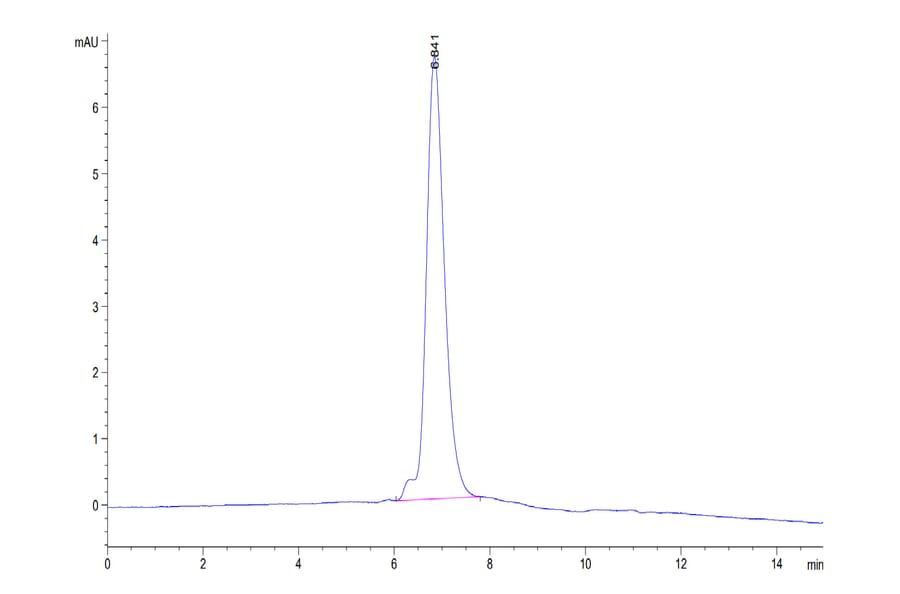 SEC-HPLC - Recombinant Human ErbB2 Protein (Biotin) (C-terminal His and Avi Tag) (A330590) - Antibodies.com
