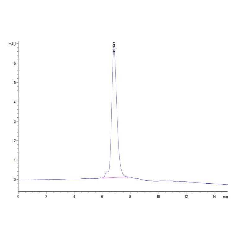 SEC-HPLC - Recombinant Human ErbB2 Protein (Biotin) (C-terminal His and Avi Tag) (A330590) - Antibodies.com