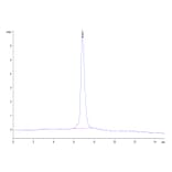 SEC-HPLC - Recombinant Human ErbB2 Protein (Biotin) (C-terminal His and Avi Tag) (A330590) - Antibodies.com
