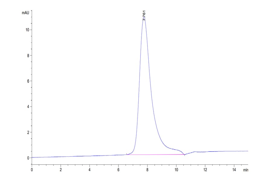 SEC-HPLC - Recombinant Human ErbB2 Protein (C-terminal His and Avi Tag) (A330591) - Antibodies.com