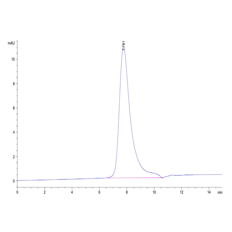 SEC-HPLC - Recombinant Human ErbB2 Protein (C-terminal His and Avi Tag) (A330591) - Antibodies.com