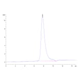 SEC-HPLC - Recombinant Human ErbB2 Protein (C-terminal His and Avi Tag) (A330591) - Antibodies.com