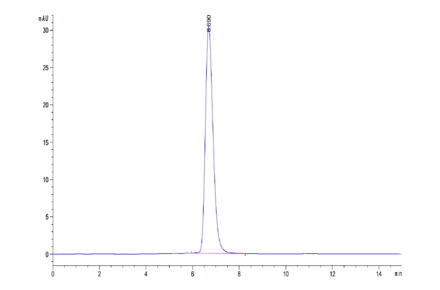 SEC-HPLC - Recombinant Human ErbB2 Protein (C-terminal Human Fc Tag) (A330592) - Antibodies.com