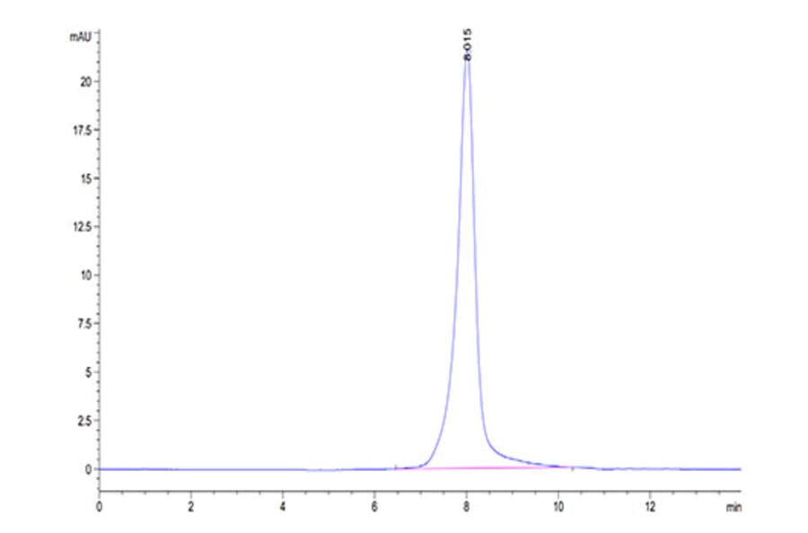 SEC-HPLC - Recombinant Human ErbB3/HER3 Protein (Biotin) (C-terminal His and Avi Tag) (A330594) - Antibodies.com