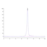 SEC-HPLC - Recombinant Human ErbB3/HER3 Protein (Biotin) (C-terminal His and Avi Tag) (A330594) - Antibodies.com