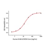 Standard Curve - Recombinant Human ErbB4 Protein (C-terminal Human Fc and His Tag) (A330595) - Antibodies.com