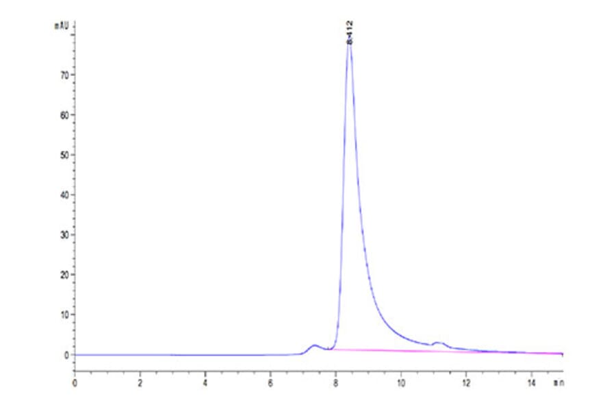 SEC-HPLC - Recombinant Cynomolgus macaque FAP Protein (N-terminal His Tag) (A330609) - Antibodies.com