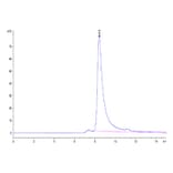 SEC-HPLC - Recombinant Cynomolgus macaque FAP Protein (N-terminal His Tag) (A330609) - Antibodies.com