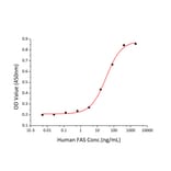Cell Viability Assay - Recombinant Human Fas Protein (C-terminal Human Fc and His Tag) (A330612) - Antibodies.com